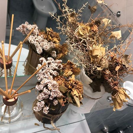 Alloggio Primavera 테르니 외부 사진